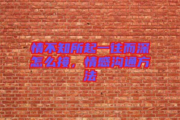 情不知所起一往而深怎么接，情感溝通方法