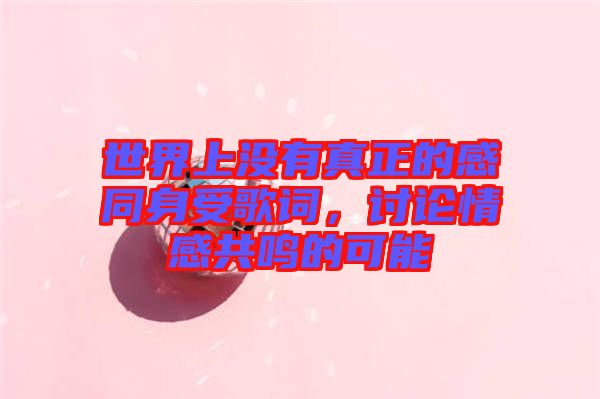 世界上沒有真正的感同身受歌詞，討論情感共鳴的可能