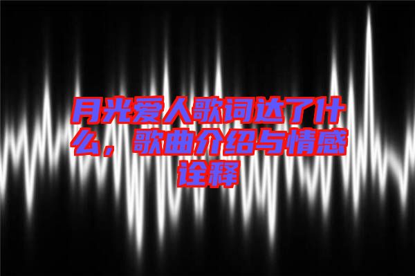 月光愛人歌詞達了什么，歌曲介紹與情感詮釋