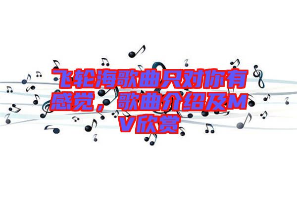 飛輪海歌曲只對你有感覺，歌曲介紹及MV欣賞