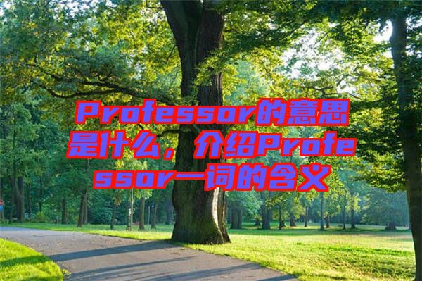 Professor的意思是什么，介紹Professor一詞的含義