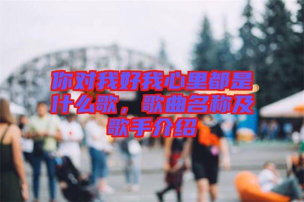 你對(duì)我好我心里都是什么歌，歌曲名稱及歌手介紹