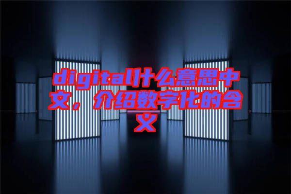 digital什么意思中文，介紹數字化的含義