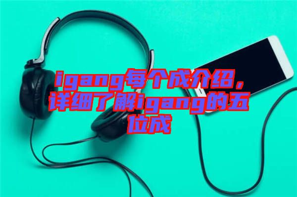 igang每個成介紹，詳細了解igang的五位成
