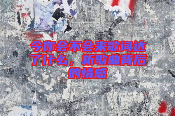 今你會不會來歌詞達了什么，析歌曲背后的情感
