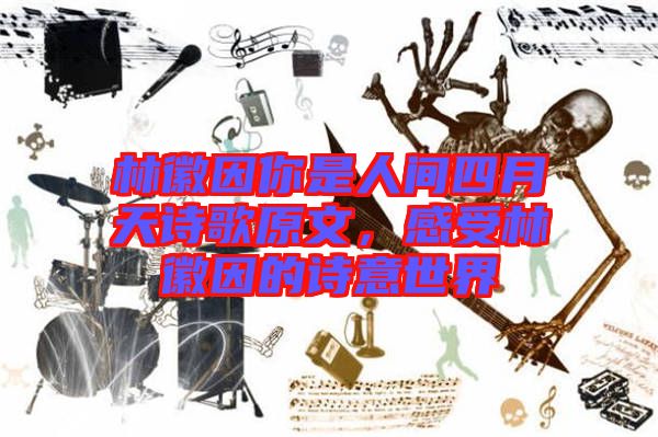林徽因你是人間四月天詩歌原文，感受林徽因的詩意世界