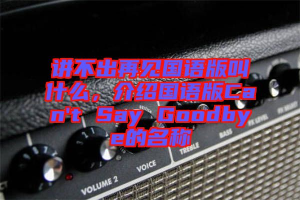 講不出再見國語版叫什么，介紹國語版Can't Say Goodbye的名稱