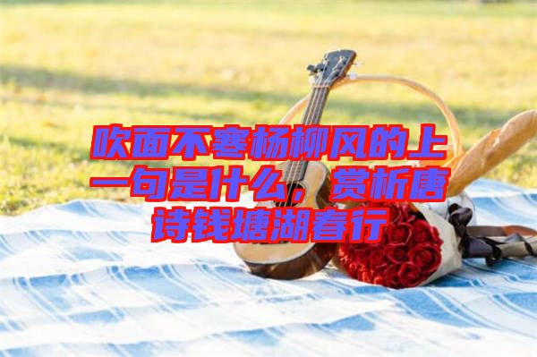 吹面不寒楊柳風的上一句是什么，賞析唐詩錢塘湖春行