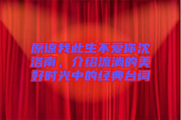 原諒我此生不愛你沈洛南，介紹流淌的美好時光中的經典臺詞