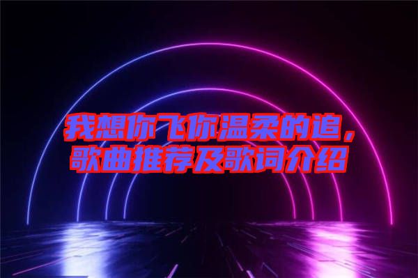我想你飛你溫柔的追，歌曲推薦及歌詞介紹