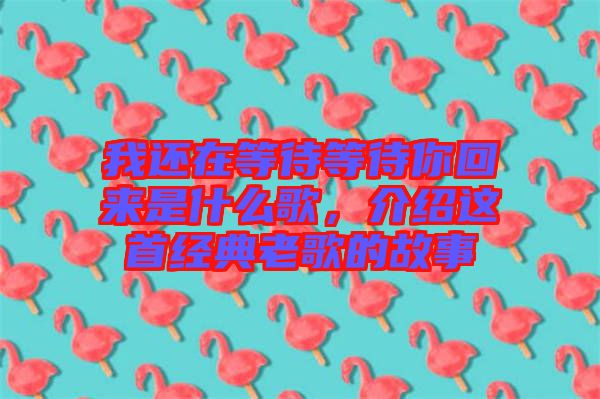 我還在等待等待你回來是什么歌，介紹這首經典老歌的故事