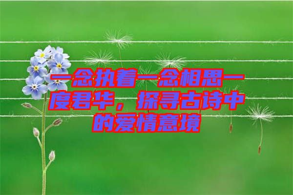 一念執著一念相思一度君華，探尋古詩中的愛情意境