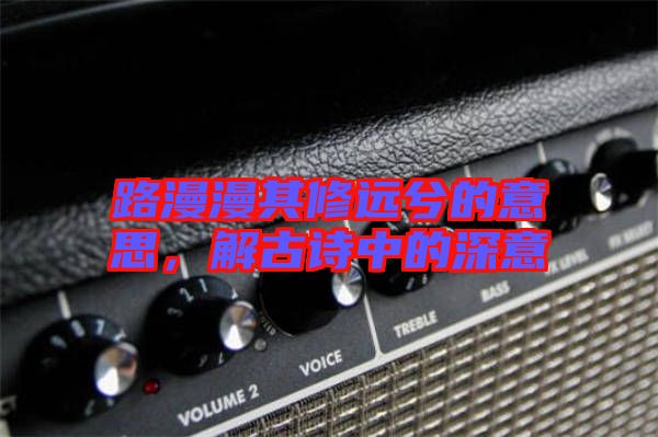路漫漫其修遠兮的意思，解古詩中的深意