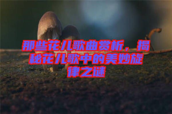 那些花兒歌曲賞析，揭秘花兒歌中的美妙旋律之謎