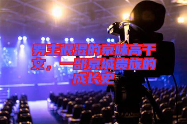 男主很混的京味高干文，一部京城貴族的成長史