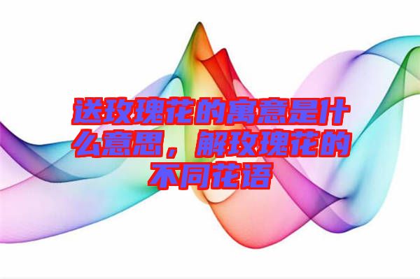 送玫瑰花的寓意是什么意思，解玫瑰花的不同花語