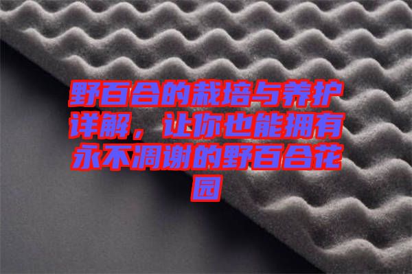 野百合的栽培與養(yǎng)護(hù)詳解，讓你也能擁有永不凋謝的野百合花園