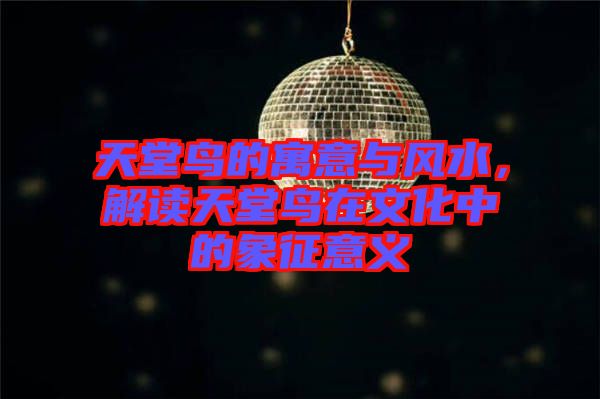 天堂鳥的寓意與風水，解讀天堂鳥在文化中的象征意義