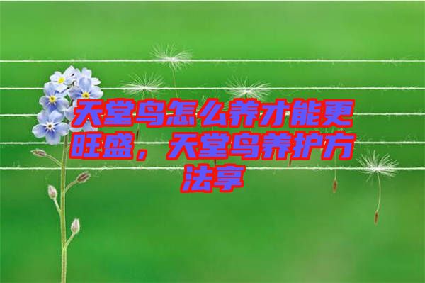 天堂鳥(niǎo)怎么養(yǎng)才能更旺盛，天堂鳥(niǎo)養(yǎng)護(hù)方法享