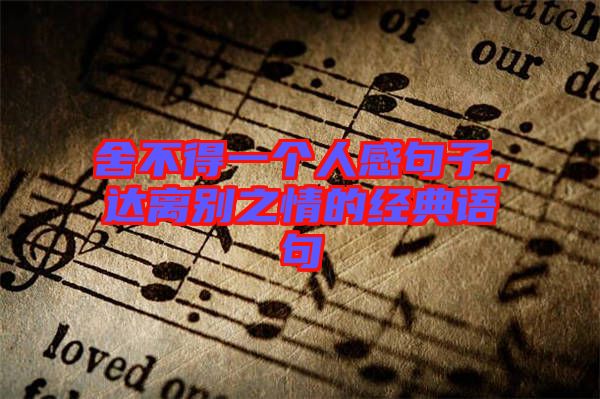 舍不得一個人感句子，達(dá)離別之情的經(jīng)典語句