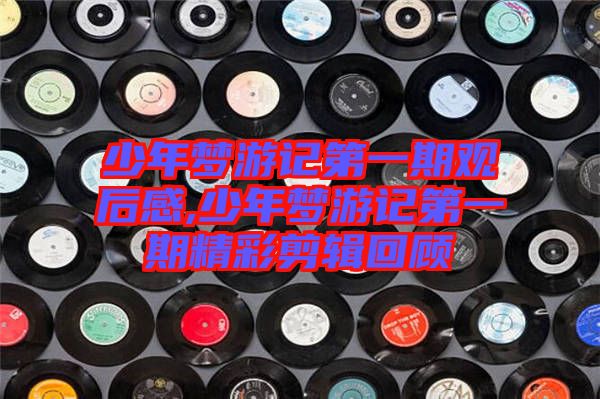 少年夢游記第一期觀后感,少年夢游記第一期精彩剪輯回顧