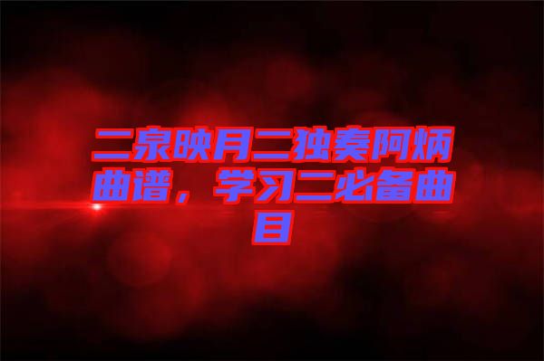 二泉映月二獨奏阿炳曲譜，學習二必備曲目