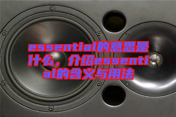 essential的意思是什么，介紹essential的含義與用法