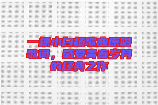 一棵小白楊歌曲原唱歌詞，感受青春歲月的經典之作