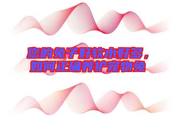 您的兔子好軟水好多，如何正確養護寵物兔