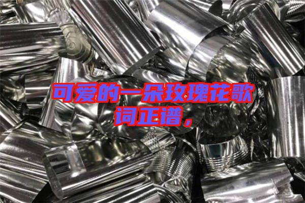 可愛的一朵玫瑰花歌詞正譜，