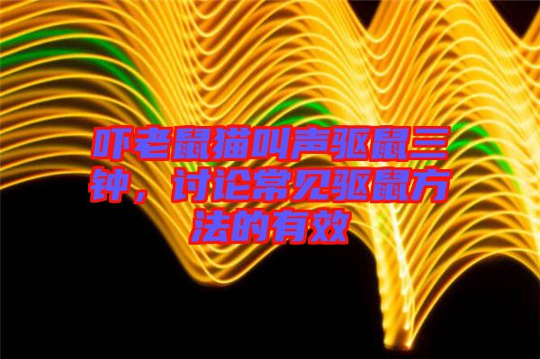 嚇老鼠貓叫聲驅鼠三鐘，討論常見驅鼠方法的有效