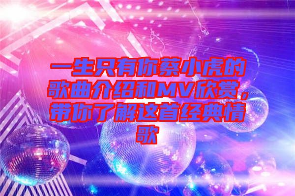 一生只有你蔡小虎的歌曲介紹和MV欣賞，帶你了解這首經典情歌