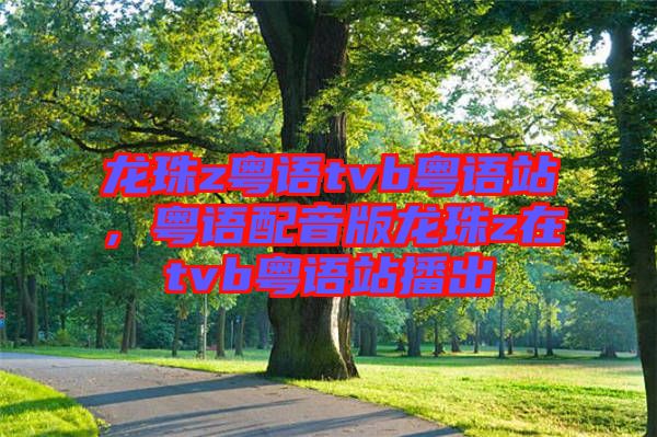 龍珠z粵語tvb粵語站，粵語配音版龍珠z在tvb粵語站播出