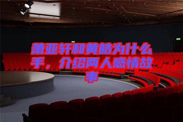 蕭亞軒和黃皓為什么手，介紹兩人感情故事