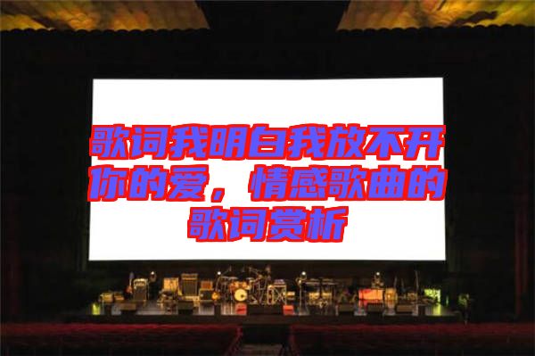 歌詞我明白我放不開你的愛，情感歌曲的歌詞賞析