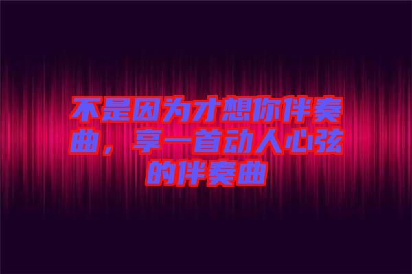 不是因為才想你伴奏曲，享一首動人心弦的伴奏曲