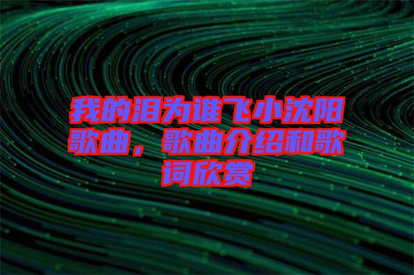 我的淚為誰(shuí)飛小沈陽(yáng)歌曲，歌曲介紹和歌詞欣賞