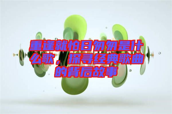 重逢就怕日匆匆是什么歌，探尋經典歌曲的背后故事