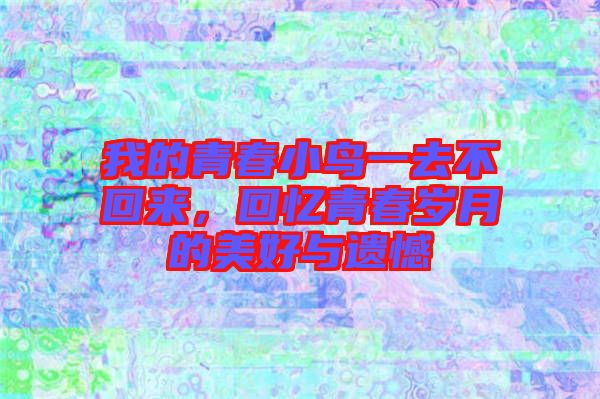 我的青春小鳥一去不回來(lái)，回憶青春歲月的美好與遺憾