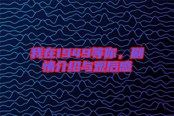 我在1949等你，劇情介紹與觀后感