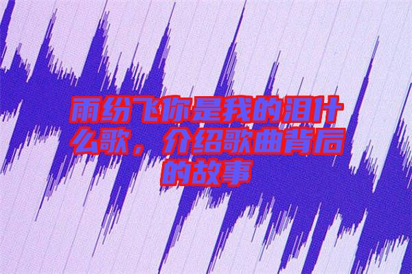 雨紛飛你是我的淚什么歌，介紹歌曲背后的故事