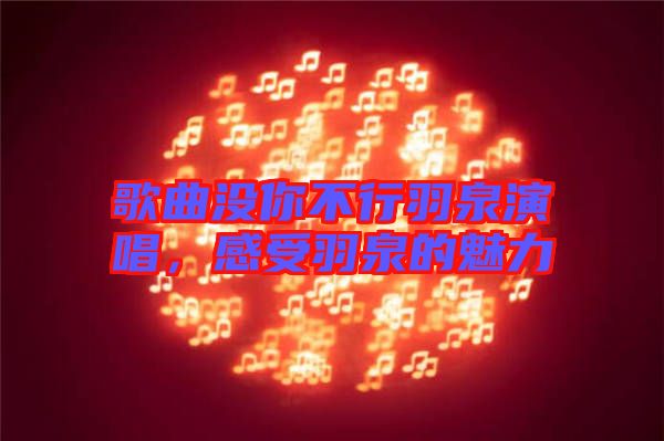 歌曲沒你不行羽泉演唱，感受羽泉的魅力