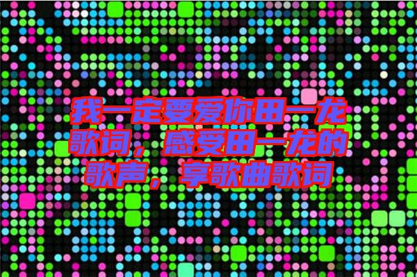 我一定要愛你田一龍歌詞，感受田一龍的歌聲，享歌曲歌詞