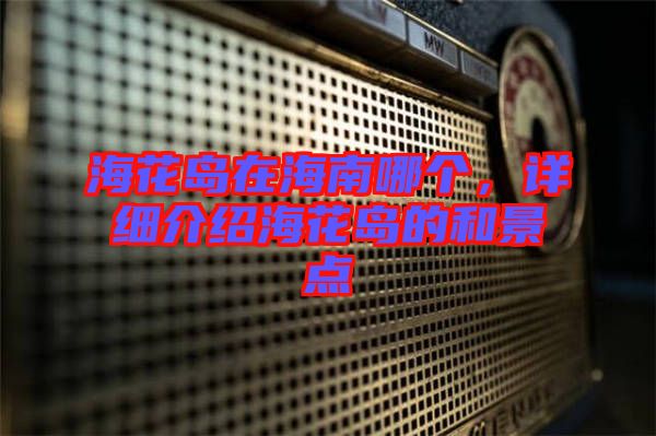 海花島在海南哪個(gè)，詳細(xì)介紹?；◢u的和景點(diǎn)