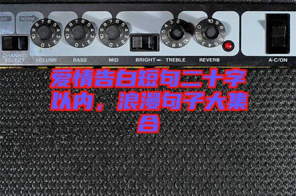 愛(ài)情告白短句二十字以?xún)?nèi)，浪漫句子大集合