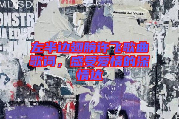 左半邊翅膀許飛歌曲歌詞，感受愛情的深情達