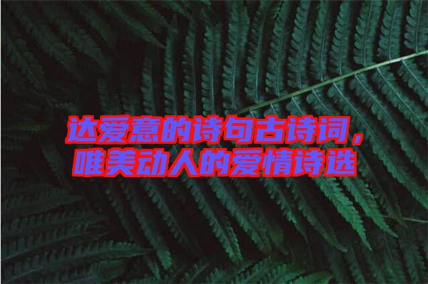 達(dá)愛意的詩(shī)句古詩(shī)詞，唯美動(dòng)人的愛情詩(shī)選