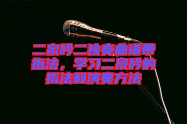 二泉吟二獨(dú)奏曲譜帶指法，學(xué)習(xí)二泉吟的指法和演奏方法