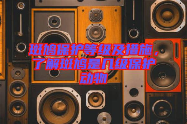 斑鳩保護(hù)等級及措施，了解斑鳩是幾級保護(hù)動物
