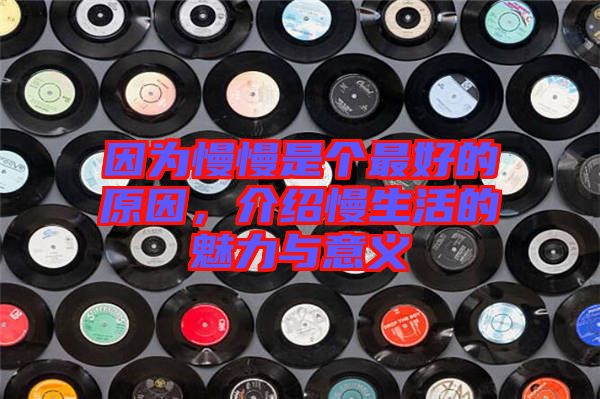 因?yàn)槁莻€(gè)最好的原因，介紹慢生活的魅力與意義